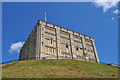 TG2308 : Norwich Castle by Ashley Dace