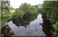 River Nidd