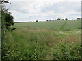 Field off Valley Road