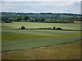 Fields north of Dagnall