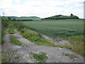 Wheat field off Harling Road