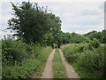 Track off Slapton Lane