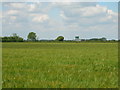 Farmland near Linton-on-Ouse