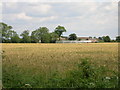 Farmland off Hag Lane