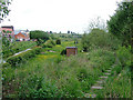 By the disused railway near Milton, Stoke-on-Trent