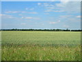 Farmland, Newton Moor