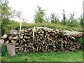 SO3656 : Log pile by Ian Paterson
