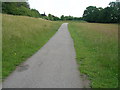 Cycle path towards York