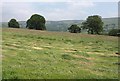 SE1467 : Part cut grass field, Grange Lane by Derek Harper