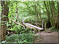 Footbridge in Clinton Wood