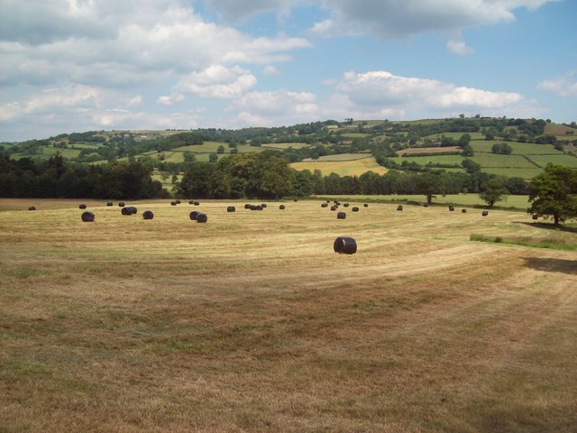Field of Packed Straw Bales