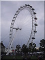 TQ3079 : The London Eye by PAUL FARMER
