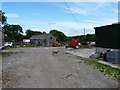 In the farmyard - Mosley Farm