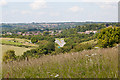 View of Winchester from Magdalen Hill Down