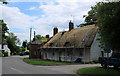 2011 : Thatching in Tilshead