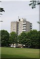 Tower block, edge of Wandsworth Common