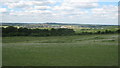 View over Hogtrough Field