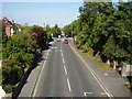 Looking East from Gallows Bridge