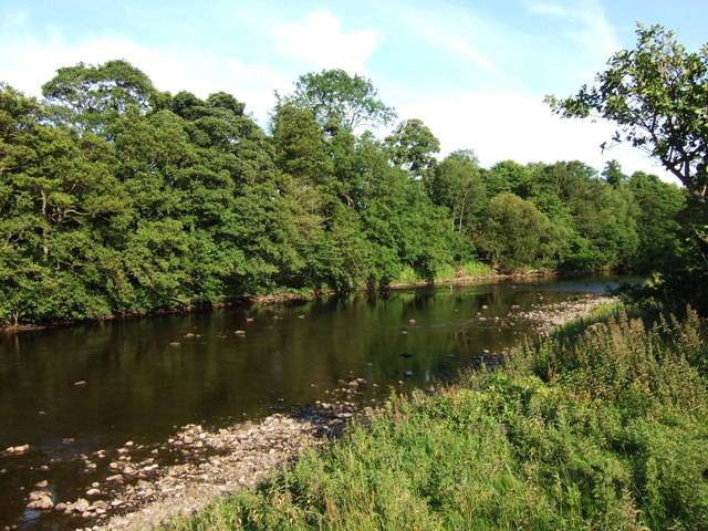The River Ure looking downstream from above Masham