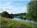 The River Ure looking upstream from above Masham