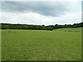 View across fields to Manpits Copse