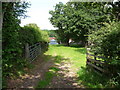 Green lane to Tregaer Farm