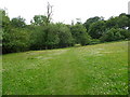 Footpath across a July meadow