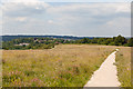 Main Path on Magdalen Hill Down