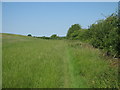 Footpath to Calves Field Wood