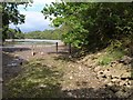 Foreshore near Cylinder Bridge