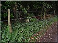 Fence and march stone