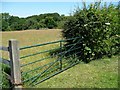 Field gate off Cross Lane