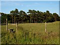 Stile in field lees House Farm