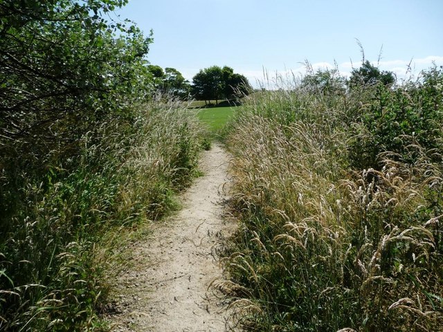 Informal but well-used path