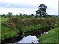 The River Lossie at Kirkhill