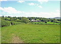 Fields near Tre-clyn, Eglwyswrw