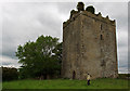 N2938 : Castles of Leinster: Donore, Westmeath (2) by Mike Searle