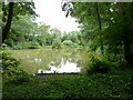 Fishing lake below Lythe Hill Hotel