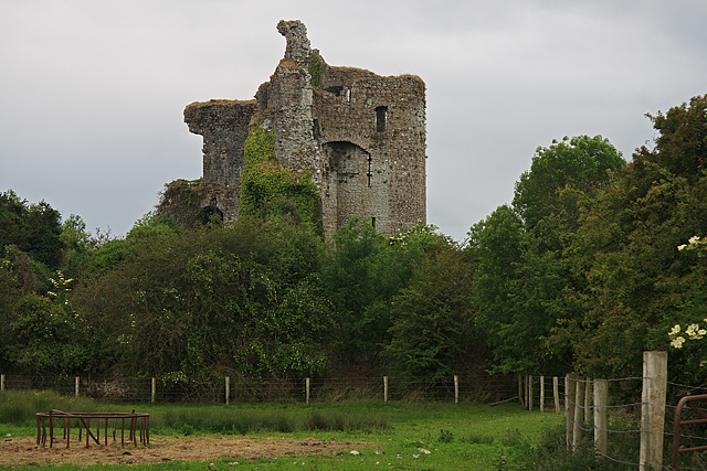 Castles of Leinster: Lea, Laois (2)