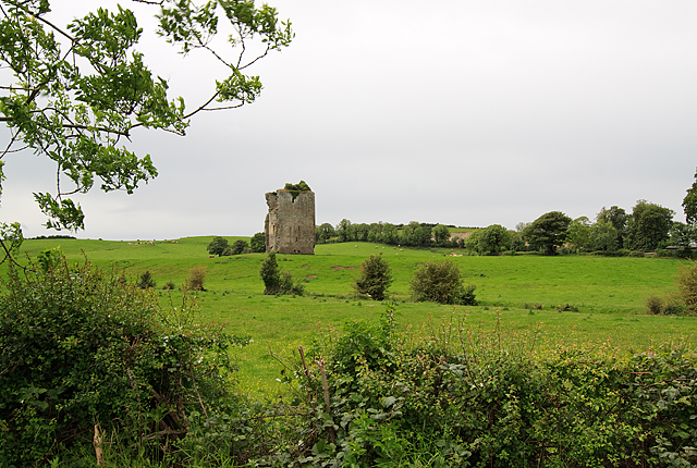 Castles of Leinster: Gortnaclea, Laois (1)