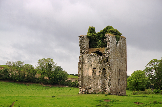 Castles of Leinster: Gortnaclea, Laois (2)