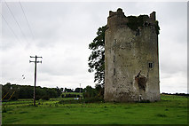 S3379 : Castles of Leinster: Grantstown, Laois (2) by Mike Searle
