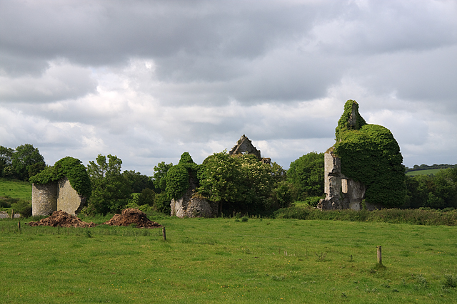 Castles of Leinster: Ballymooney, Offaly