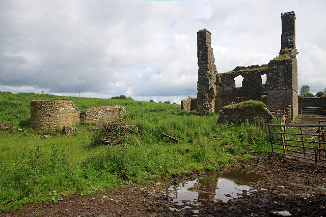 Castles of Leinster: Newtown, Offaly