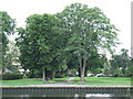 Riverside park at Teddington