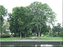 TQ1671 : Riverside park at Teddington by Malc McDonald