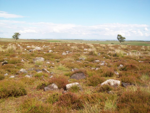 A Remote Area Of Big Moor © Jonathan Clitheroe Geograph Britain And