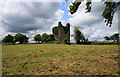 N6060 : Castles of Leinster: Martinstown, Westmeath (1) by Mike Searle