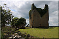 N6060 : Castles of Leinster: Martinstown, Westmeath (2) by Mike Searle