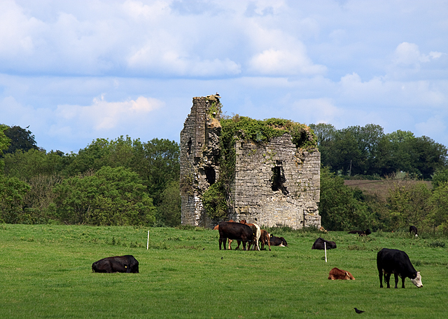 Castles of Leinster: Newhaggard, Meath